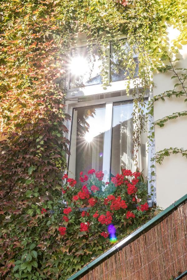 Cracow Best Location Apartment With Garden By Cozyplace 克拉科夫 外观 照片