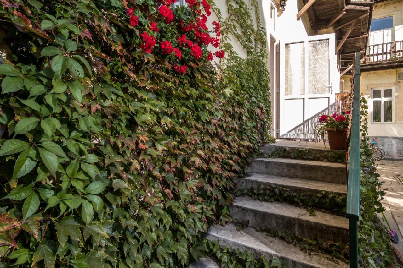 Cracow Best Location Apartment With Garden By Cozyplace 克拉科夫 外观 照片